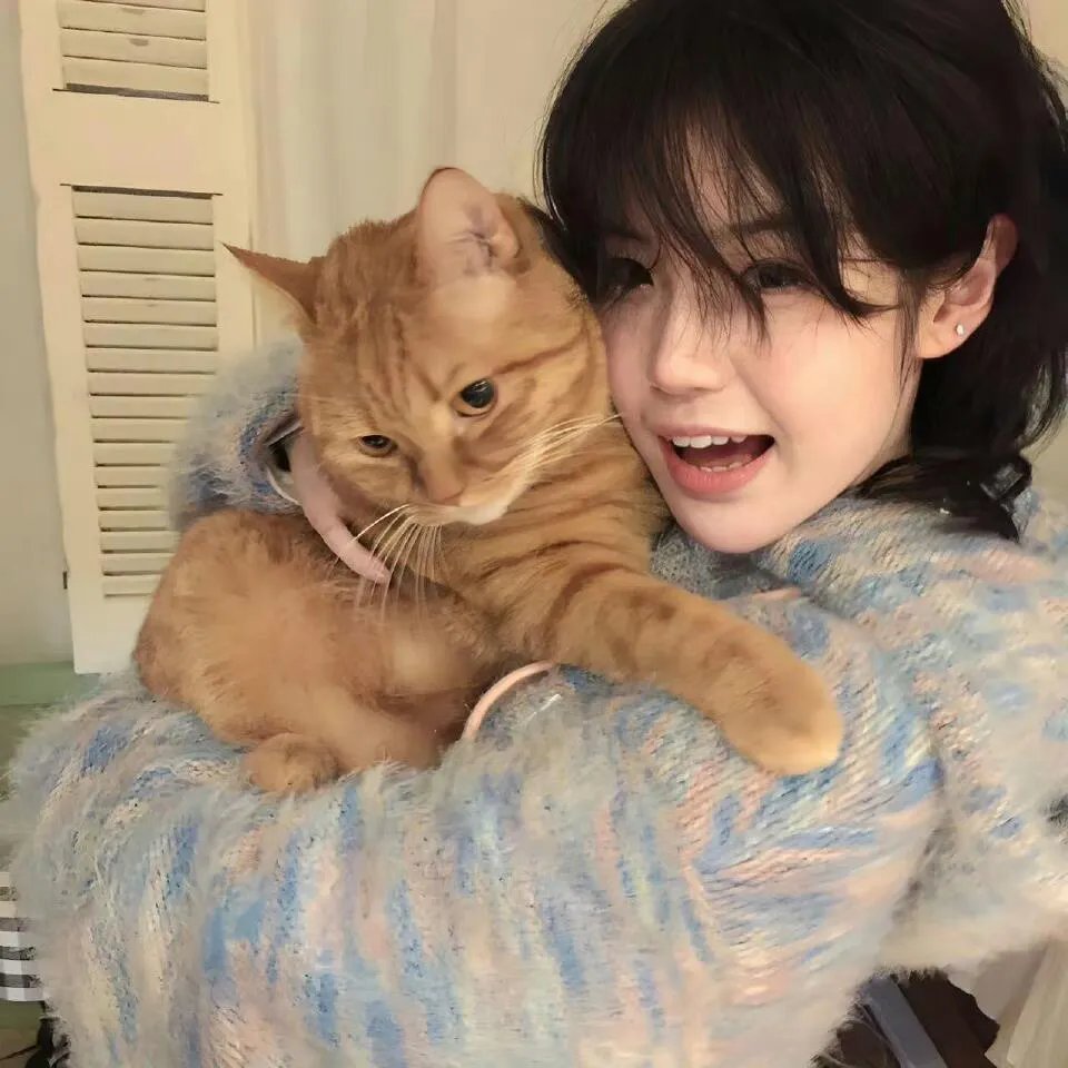 神推偶像登上武道馆我就死而无憾剧场版